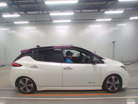 2021 Nissan Leaf ZE1[2]