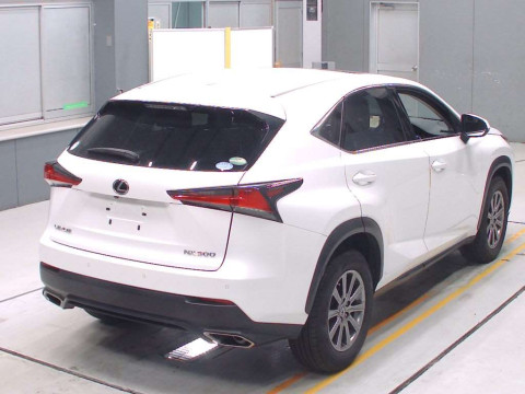 2018 Lexus NX AGZ10[1]