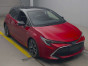 2020 Toyota Corolla Sports