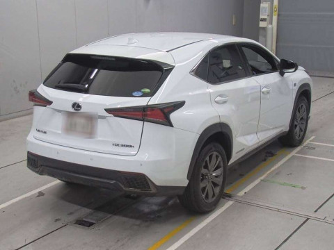 2018 Lexus NX AYZ10[1]