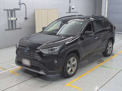 2019 Toyota RAV4 AXAH54[0]