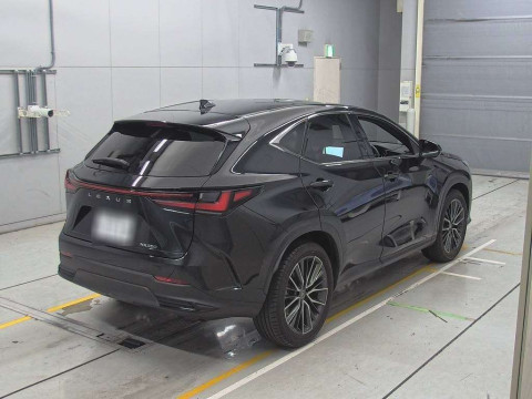 2023 Lexus NX AAZA20[1]