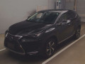 2020 Lexus NX