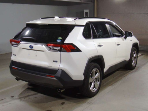 2019 Toyota RAV4 AXAH54[1]