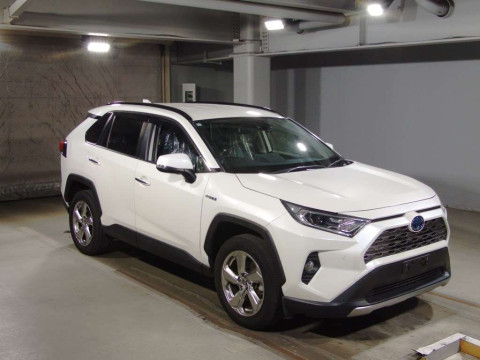 2019 Toyota RAV4 AXAH54[2]