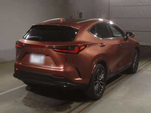 2024 Lexus NX AAZH25[1]