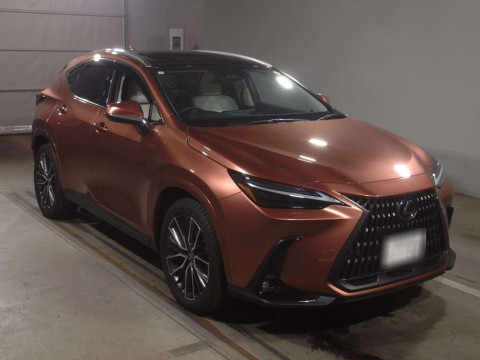 2024 Lexus NX AAZH25[2]