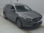 2019 Mazda CX-8