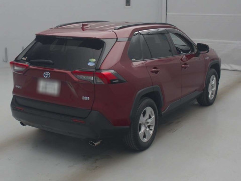 2019 Toyota RAV4 AXAH54[1]