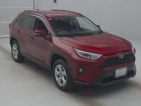 2019 Toyota RAV4 AXAH54[2]