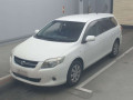 2010 Toyota Corolla Fielder