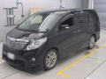 2010 Toyota Alphard