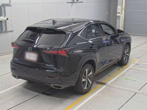 2019 Lexus NX AGZ15[1]