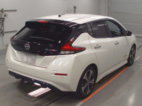 2019 Nissan Leaf ZE1[1]