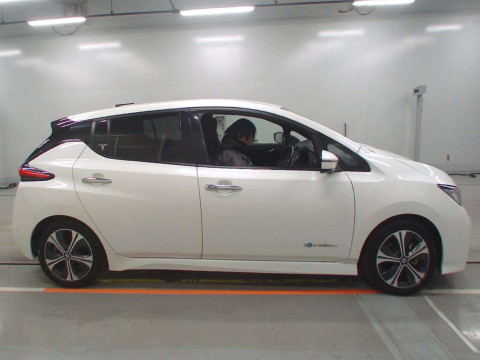 2019 Nissan Leaf ZE1[2]