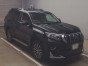 2019 Toyota Land Cruiser Prado