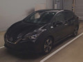 2020 Nissan Leaf