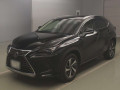 2020 Lexus NX