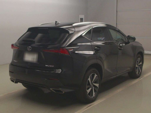 2020 Lexus NX AGZ10[1]