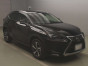 2020 Lexus NX