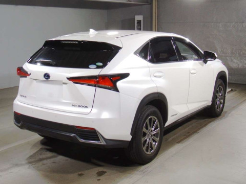 2019 Lexus NX AYZ10[1]