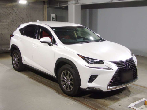 2019 Lexus NX AYZ10[2]