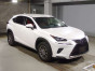 2019 Lexus NX