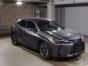 2019 Lexus UX