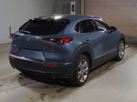 2020 Mazda CX-30 DMEP[1]