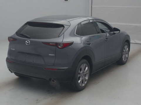 2019 Mazda CX-30 DMEP[1]