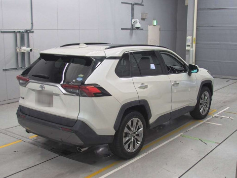 2019 Toyota RAV4 MXAA54[1]