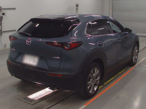 2019 Mazda CX-30 DMEP[1]