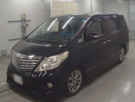 2010 Toyota Alphard