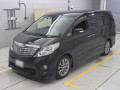 2010 Toyota Alphard