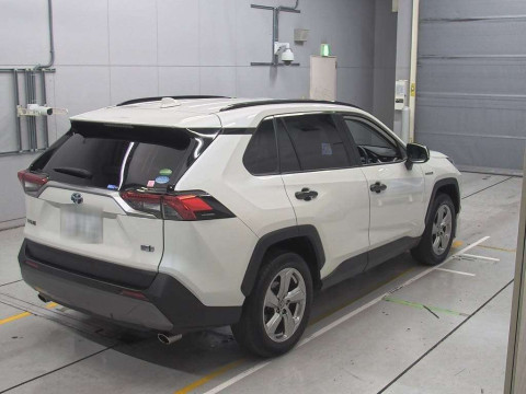 2019 Toyota RAV4 AXAH54[1]