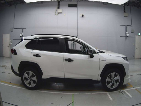 2019 Toyota RAV4 AXAH54[2]