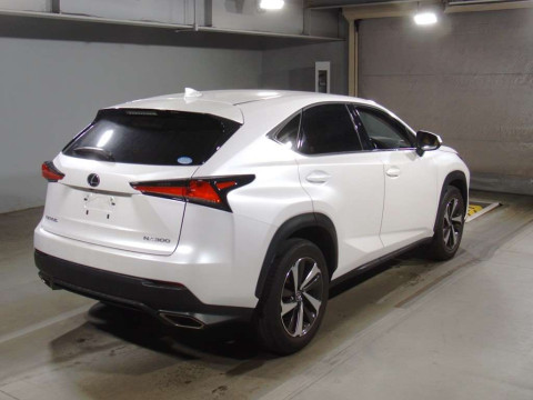 2020 Lexus NX AGZ10[1]