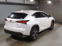 2020 Lexus NX