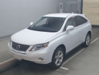 2010 Lexus RX