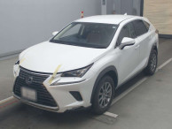 2019 Lexus NX