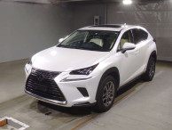 2020 Lexus NX