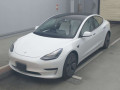 2022 Others MODEL 3