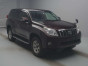 2009 Toyota Land Cruiser Prado