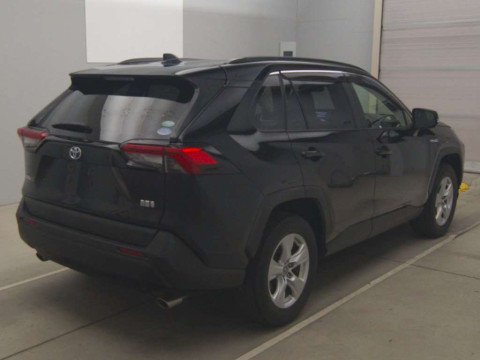 2019 Toyota RAV4 AXAH52[1]