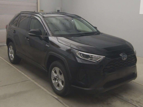 2019 Toyota RAV4 AXAH52[2]