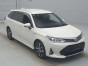 2019 Toyota Corolla Fielder