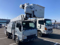 2009 Isuzu Elf Truck