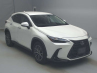 2022 Lexus NX