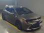 2019 Toyota Corolla Sports