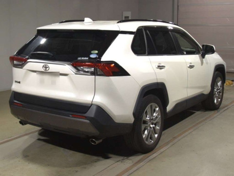 2019 Toyota RAV4 MXAA54[1]